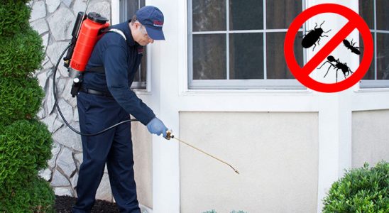 Hozat Bit İlaçlama böcek ilaçlama ve haşere kontrolü — ilaclama-tr.com